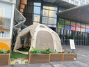 COODY軍鑫戶(hù)外露營(yíng)帳篷星空球型充氣式帳TPU觀(guān)景5-8人營(yíng)地拓展棉布帳篷 米黃色球帳 5*5 曬單實(shí)拍圖