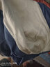 莫代爾喚醒野獸男士內(nèi)褲男純棉抑菌生蠔素透氣四角褲寬松運動男生平角褲 生蠔素全棉A組提睪丸禮盒裝 3條 2XL 建議體重130-150斤 曬單實拍圖