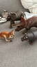 思樂(lè )（Schleich S）仿真野生動(dòng)物模型袋鼠河馬犀牛小熊貓灰熊猩猩兒童玩具生日禮物3+ 河馬14814 曬單實(shí)拍圖