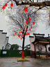 溫氏 供港農養(yǎng)大公雞2.4斤 冷凍高品質林地大公雞走地雞 雞肉 曬單實拍圖