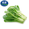 聽蔬有機(jī)小松菜 小油菜 新鮮蔬菜綠葉菜 清犁有機(jī)認(rèn)證小青菜小菘菜 500g 曬單實拍圖