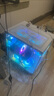華碩ROG全家桶【24期免息】i5 14600KF華碩RTX5060Ti 5060海景房天選電競(jìng)游戲臺(tái)式機(jī)電腦DIY組裝機(jī)主機(jī) 配置5：i5-14600KF+華碩5060 曬單實(shí)拍圖