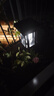 飛立太陽能滅蚊燈戶外防水家用充電式電蚊燈別墅庭院花園草坪滅蚊神器 插地式 曬單實拍圖