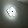 梵季（Fanji）花朵客廳燈吸頂燈奶油風(fēng)花瓣主臥室燈溫馨兒童房餐廳燈具現(xiàn)代簡(jiǎn)約 臥室1朵40CM+無(wú)極調(diào)光 無(wú)規(guī)格 曬單實(shí)拍圖