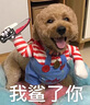 阿莫爾狗狗衣服搞怪拿刀網(wǎng)紅同款比熊金毛貓咪搞怪裝柴犬柯基創(chuàng  )意搞笑服 手拿菜刀搞笑裝 L【適合31-50斤 胸圍68-88cm】 曬單實(shí)拍圖