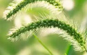 聯(lián)通流量卡中國(guó)聯(lián)通手機(jī)卡電話卡5g不限速低月租大流量純上網(wǎng)卡全國(guó)通用無合約 湖南專屬卡19元190G高速流量 外省勿拍 曬單實(shí)拍圖