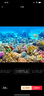魚(yú)缸背景貼紙5d高清畫(huà)立體畫(huà)海底世界3d水族箱造景裝飾壁紙自粘紙 03.彩色珊瑚和魚(yú) 寬120cm-高60cm【送刮板】 曬單實(shí)拍圖