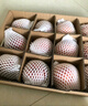佳農(nóng) 煙臺紅富士蘋果 凈重10斤 特級果 單果240g+ 禮盒裝 曬單實(shí)拍圖