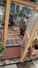 若來（Rolife）diy小屋凱西花房成人積木玩具拼裝模型畢業(yè)生日禮物女孩 曬單實(shí)拍圖