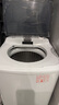 志高（CHIGO）脫水機甩干機小型迷你家用甩干桶出租房宿舍大容量單杠脫水桶烘干一體 8.6KG 力薦【不銹鋼桶加厚款】 曬單實拍圖