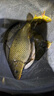 空鈎悟道（KONGGOUWUDAO） 空鉤悟道方形魚護(hù)納米速干黑坑涂膠漁護(hù)魚網(wǎng)兜防掛魚戶包魚護(hù)網(wǎng) 35cm 2m 28cm小網(wǎng)格防跳繩 曬單實(shí)拍圖
