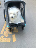 beberoad大型寵物推車輕便可折疊一鍵收車大型犬外出金毛柴犬哈士奇可拖單 灰色R8四輪版  順豐快遞 曬單實拍圖