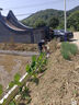 公羊男鞋夏季透氣網(wǎng)面鞋男士休閑鞋薄款網(wǎng)鞋戶外運(yùn)動鞋子 沙色 40  曬單實(shí)拍圖