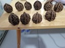 老農(nóng)哥官帽獅子頭文玩核桃賭青皮把玩核桃麻核桃綠皮原果綠果帶皮10顆 10個(gè)大官帽 50-52mm 曬單實(shí)拍圖