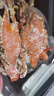 云山半鹽焗鹽鹽焗海鮮粗海鹽雞蝦蟹香辛料包腌制調(diào)料無碘大粒粗鹽880g 曬單實拍圖