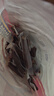 京東京造 手撕風(fēng)干牛肉干500g 約6成風(fēng)干內(nèi)蒙特產(chǎn)量販裝休閑減脂 口感稍軟 曬單實拍圖