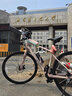 捷安特（GIANT）Liv麗以芙 Aimez SL 1 鋁合金20速油壓碟剎女式變速公路自行車 消光豆沙色700C×400MM S 適合身 700C 20速 曬單實拍圖