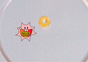 喜上眉梢足金999轉(zhuǎn)運珠古法傳承工藝齒輪隔片隔珠路路通DIY配件圣誕禮物女 0.43g 古法齒輪珠隔片 曬單實拍圖