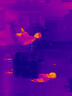THERMAL MASTER天眼x2熱成像紅外熱成像儀夜視儀紅外熱像儀高倍高清望遠鏡相線 曬單實拍圖