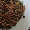 查干湖湖蝦 秀麗白蝦小河蝦新鮮冷凍河蝦淡水生鮮水產(chǎn) 湖蝦 250g(凈重)  2件起拍 曬單實(shí)拍圖