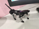 變形機器狗u盤(pán)128g大容量創(chuàng  )意學(xué)生學(xué)習辦公256G手機電腦通用優(yōu)盤(pán) 變形機器狗+鐵盒包裝（送贈品） 32GB 曬單實(shí)拍圖