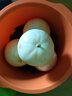 粵迎玉菇甜瓜冰淇淋香甜瓜當(dāng)季軟糯香甜山東水果綠肉當(dāng)季現(xiàn)貨應(yīng)季生鮮 5斤精選果【單果2-5個】凈4.5斤 曬單實拍圖