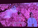 堅(jiān)果O2純?nèi)す獬探辜す怆娨曂队皟x家用家庭影院【0.18:1投射比｜2*10W音響｜激光電視平替】 曬單實(shí)拍圖