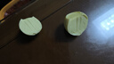 洽苒德國(guó)電動(dòng)扯蛋神器全自動(dòng)搖蛋器黃金黃混合器勻蛋器充電 白色電動(dòng)勻蛋器 曬單實(shí)拍圖