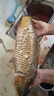 客友釣具客友金牌三代7號魚竿手竿超輕超硬19調(diào)釣魚竿臺(tái)釣竿綜合魚竿漁具 5.4m 金牌客友7號三代 曬單實(shí)拍圖
