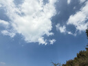植物醫(yī)生高山綠茶氨基酸潔面乳深層清潔補(bǔ)水保濕洗面奶120g 曬單實(shí)拍圖