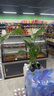 天堂鳥招財大氣大型綠植盆栽客廳耐旱好養(yǎng)護懶人綠植室內(nèi)凈化空氣 天堂鳥40-50cm【3顆】+原盆原土 曬單實拍圖