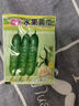 水果黃瓜新種上市生吃四季水果種籽蔬菜種子新品種陽臺種植 脆甜水果黃瓜種子新種250粒5包 曬單實拍圖
