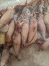 籽烏滿(mǎn)籽小海兔新鮮無(wú)沙海兔子章魚(yú)墨魚(yú)小管撈汁燒烤 原籽-籽烏20%帶籽 500g(凈重） 100只裝 曬單實(shí)拍圖