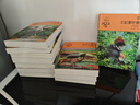 動物小說大王沈石溪品藏書系新版（橙藍(lán)特輯套裝共12冊）兒童文學(xué)課外讀物 課外閱讀 閱讀 課外書 曬單實(shí)拍圖