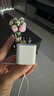 京選京東自有品牌 30W蘋果iphone充電器氮化鎵快充充電頭兼容pd20W適用16/15華為小米手機(jī)平板type-c 曬單實(shí)拍圖