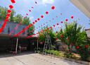 歐之云（Ouzhiyun）結(jié)婚用品結(jié)婚院子庭院布置農(nóng)村別墅拉花風(fēng)車(chē)婚慶婚禮現(xiàn)場(chǎng)裝飾布置 40風(fēng)車(chē)+40喜字燈籠+100米線(xiàn)+卡扣 防水結(jié)婚裝飾風(fēng)車(chē)?yán)ńY(jié)婚用品 曬單實(shí)拍圖