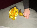 泰利奇三角洲行動(dòng)周邊蝕金玫瑰模型紅狼金箔黃金玫瑰花24k游戲擺件禮物 18cm蝕金玫瑰 曬單實(shí)拍圖