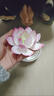 變色茶寵多色蓮花禪意擺件純手工捏花可養(yǎng)插香功夫茶具香道配件 牡丹蓮花-白紅色 曬單實拍圖