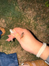 飛科（FLYCO）男士電動剃須刀旋轉(zhuǎn)式全身水洗干濕雙剃便攜款刮胡刀生日七夕節(jié)日禮物送男友送父親FS922  曬單實拍圖