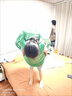樂英奇烏龜殼抱枕玩偶可穿睡覺躺睡袋公仔衣服靠枕大龜殼毛絨玩具可穿戴 烏龜殼可穿【加厚加寬升級版 前后有棉】 75公分【適合5-7歲】 曬單實拍圖