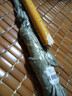 老式木柄拖把加粗加長木桿棉線拖把圓頭吸水拖把物業(yè)車間棉線拖把棉線老式墩布塵推拖布木桿拖把棉線 白線加大圓頭 曬單實拍圖