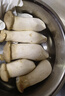 杏鮑菇約400g 曬單實(shí)拍圖