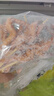 鼎味泰關(guān)東煮食材火鍋丸子商用甜不辣魚丸批發(fā)便利店商超同款1包10串 北極翅1包10串 曬單實拍圖