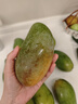正宗廣西芒果百色芒新鮮水果產(chǎn)地直發(fā)包郵 珍品果 凈重8斤 曬單實拍圖