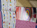 JCZS德國多米諾骨牌兒童玩具成人小學(xué)生比賽專用男孩生日積木禮物 540片 【標(biāo)準(zhǔn)】+16機(jī)關(guān)+2本圖 曬單實(shí)拍圖
