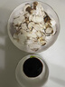 智田喜雅江松茸新鮮高品質(zhì)未開傘松茸菌菇野冷鏈空運(yùn)多地次日達(dá)生日送禮 未開傘松茸5-6cm 凈重 500g 曬單實(shí)拍圖