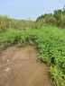 佳幫手平板拖把家用一拖凈免手洗2025吸水墩布拖布洗脫刮拖一體拖地神器 曬單實(shí)拍圖