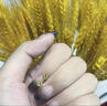 老鳳祥黃金四葉草耳釘女款足金養(yǎng)耳洞耳飾情人節(jié)生日禮物送女友愛(ài)人老婆 四葉草耳釘【一對(duì)】約0.5g 曬單實(shí)拍圖