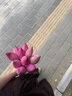 LYNN抹布強(qiáng)力吸水廚房抹布好物洗碗巾30*30cm5片百潔布車用毛巾擦手巾 曬單實(shí)拍圖
