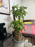 宏碁（acer）無(wú)線藍(lán)牙三模鼠標(biāo) 雙滾輪人體工學(xué)大手鼠標(biāo) 辦公靜音鼠標(biāo) 可自定義編程 電腦筆記本辦公無(wú)線鼠標(biāo) 雙拼Pro版-深灰（3220-8000DPI） 曬單實(shí)拍圖